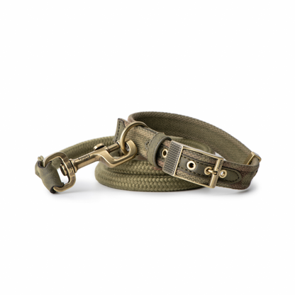 MyFamily West Point Dog Collar in Green Camouflage Mixed Cotton Plated finishing